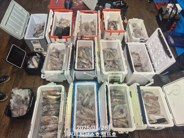 1000035826.jpg