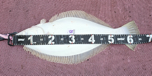 1000054169.jpg