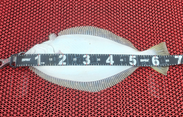 1000054294.jpg