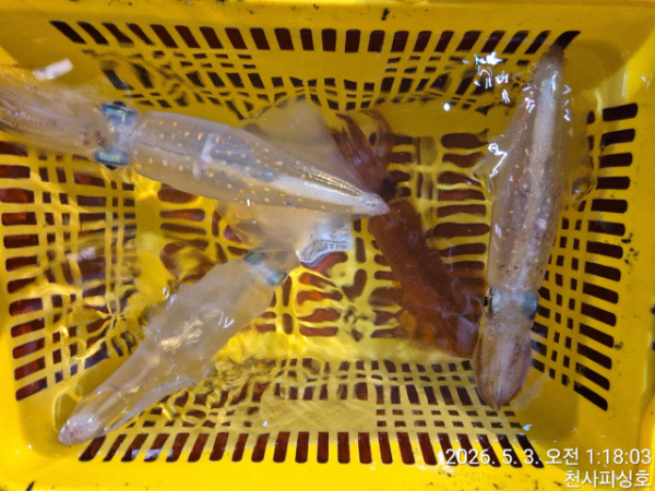 1004피싱_사진_20260503_20.jpg