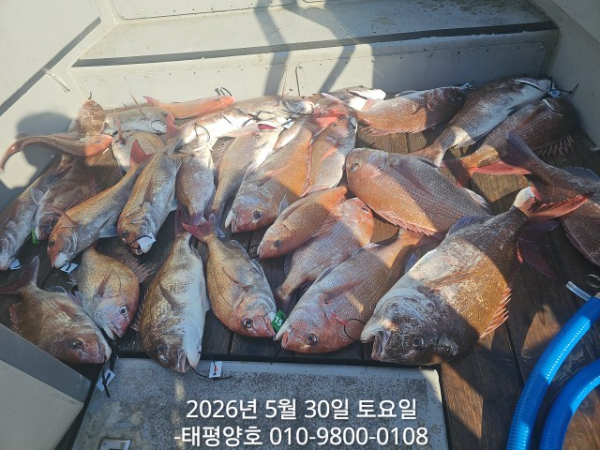 1780129017171.jpg