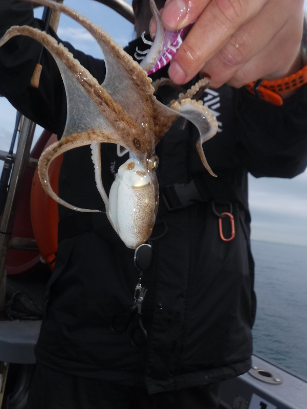 DSCF5724.JPG