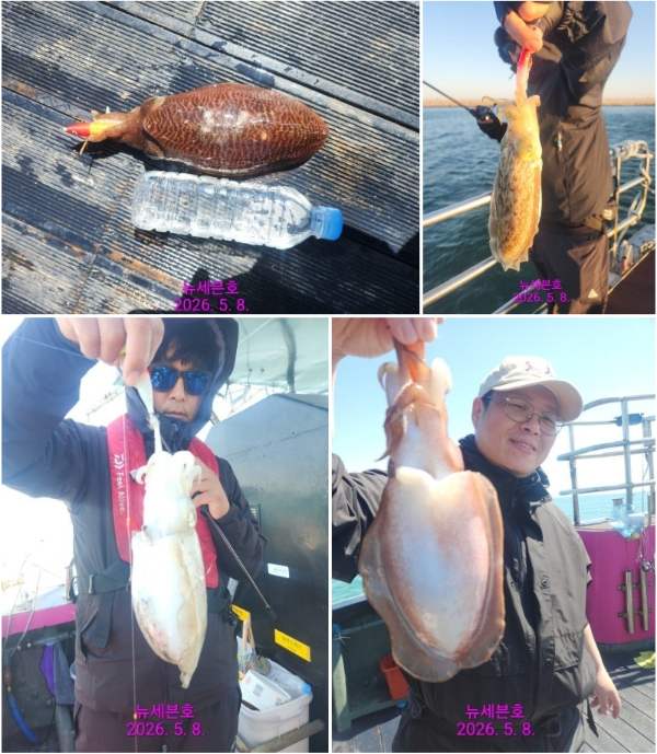 스크린샷_8-5-2026_22409_cafe.naver.com.jpeg