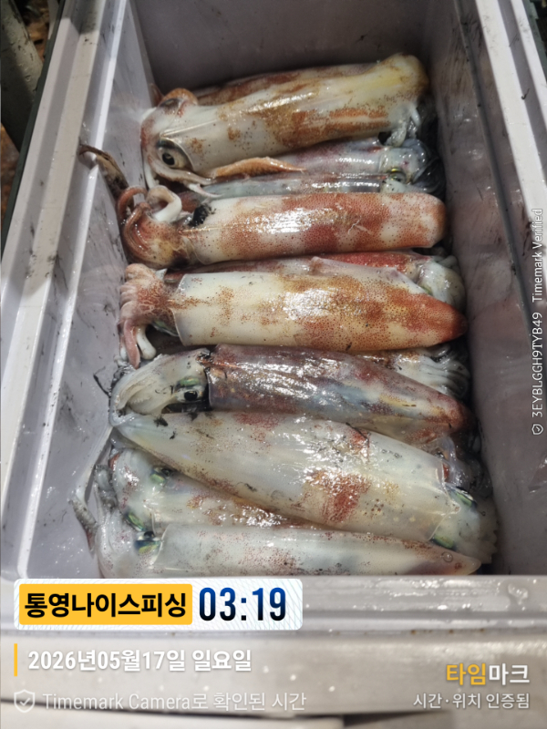 2026-05-17 03.19.53__(제목-통영나이스피싱).jpg