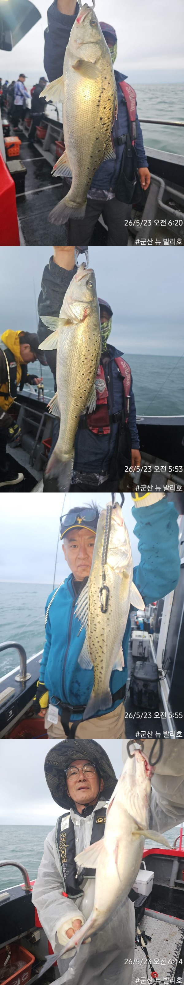 KakaoTalk_20260523_085433652_01-vert2222222.jpg