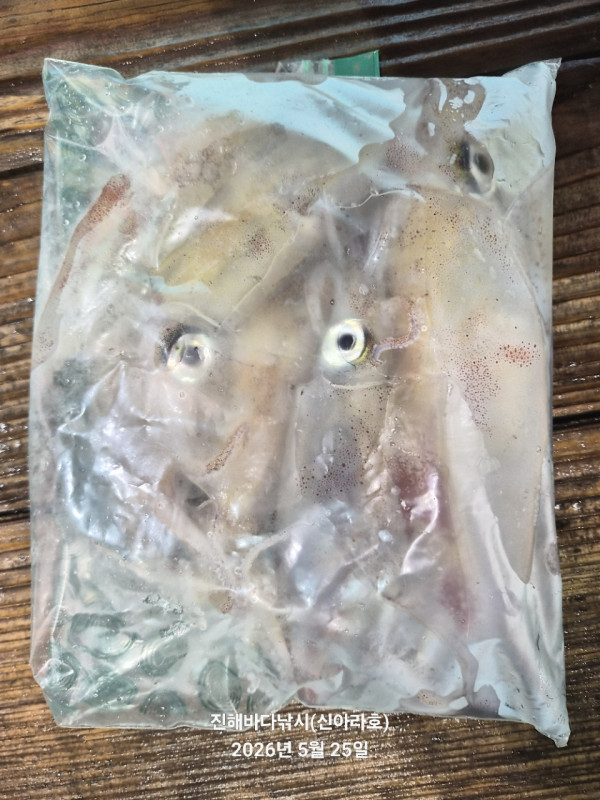 바다꾼낚시(신아라호)_사진_20260525_12.jpg