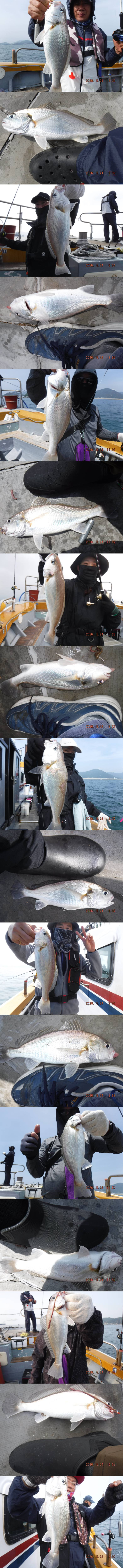 출조1411.jpg