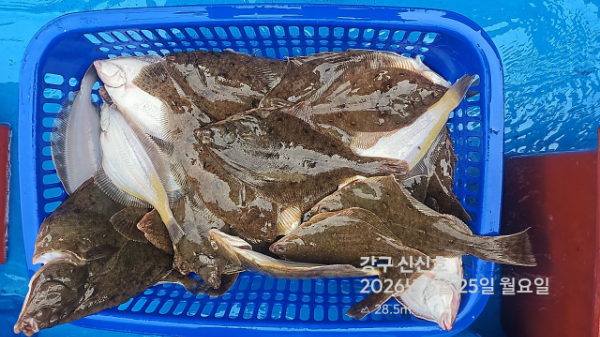 신신낚시 강구점 신신호_사진_20260525_18.jpg