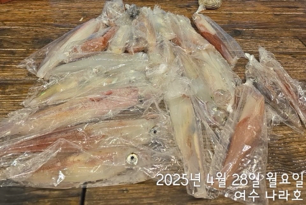 49F32091-090C-420E-BC7E-601662C930BC.jpeg