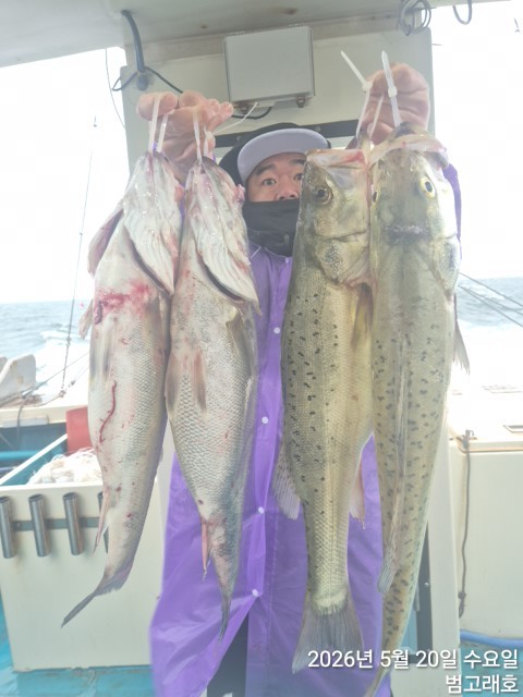 KakaoTalk_20260520_125935234_06.jpg