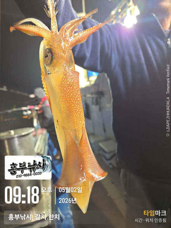 2026-05-02 09.18.52__(-흥부낚시  갈치.한치).jpg