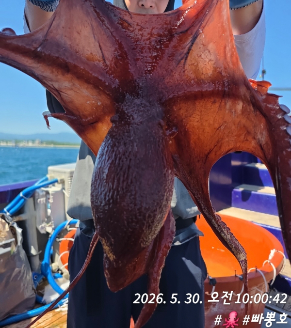 C71D2E18-D6C1-4E20-B099-C30F79408708.jpeg