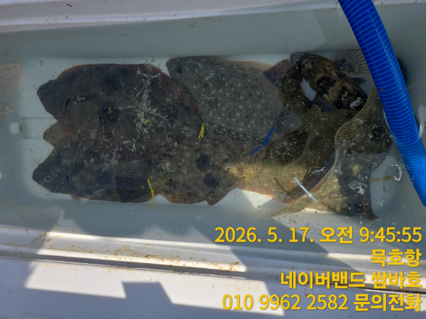 TimePhoto_20260517_094555.jpg