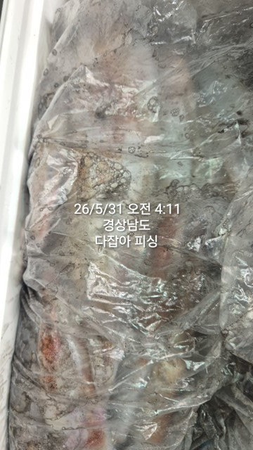 1780181305185.jpg