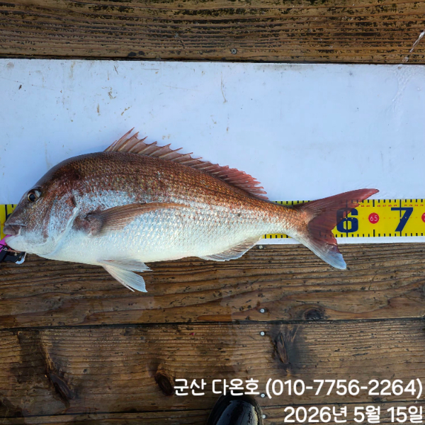 KakaoTalk_20260515_132400430_01.jpg