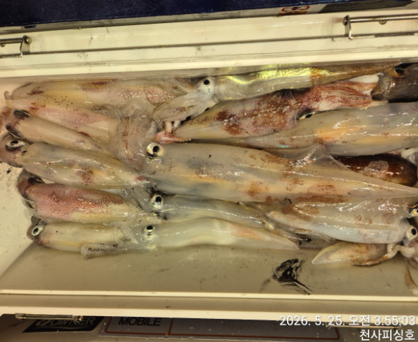 1004피싱_사진_20260525_20.jpg