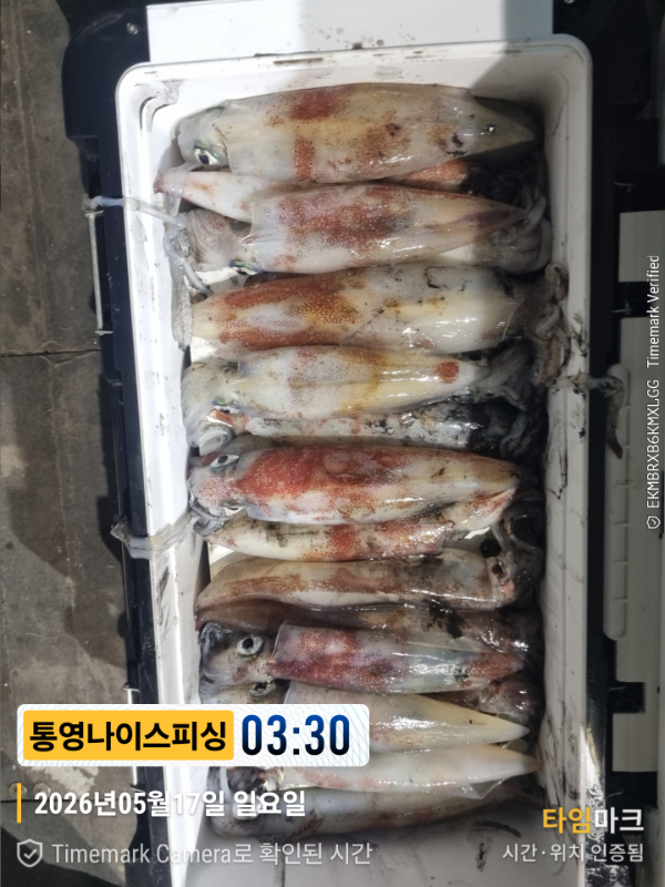 2026-05-17 03.30.08__(제목-통영나이스피싱).jpg