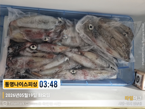 2026-05-19 03.48.22__(제목-통영나이스피싱).jpg
