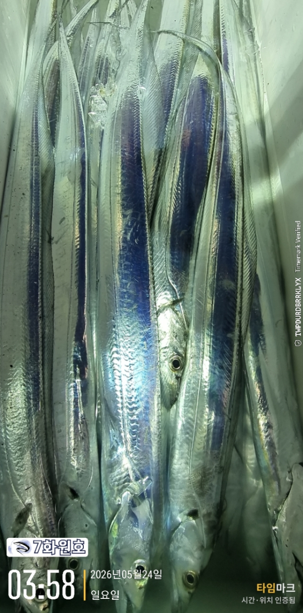 FE03DE63-C650-40D5-9854-E46713082E12.jpeg