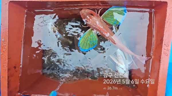 신신낚시 강구점 신신호_사진_20260506_14.jpg