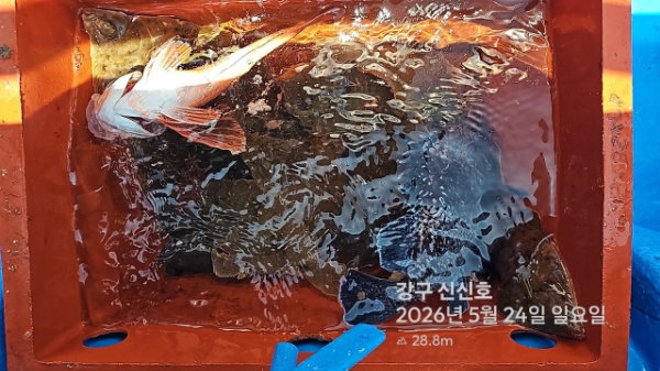 신신낚시 강구점 신신호_사진_20260524_15.jpg