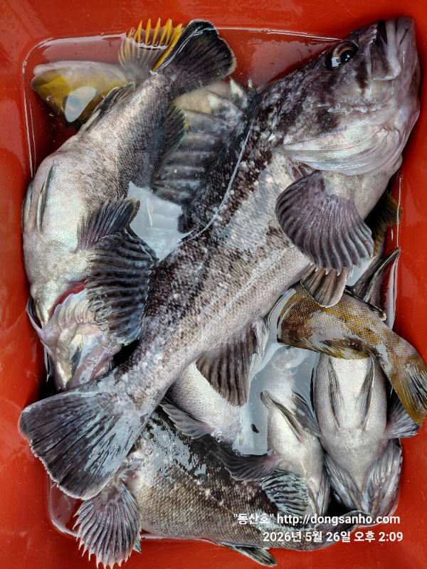 20260526_140957.jpg