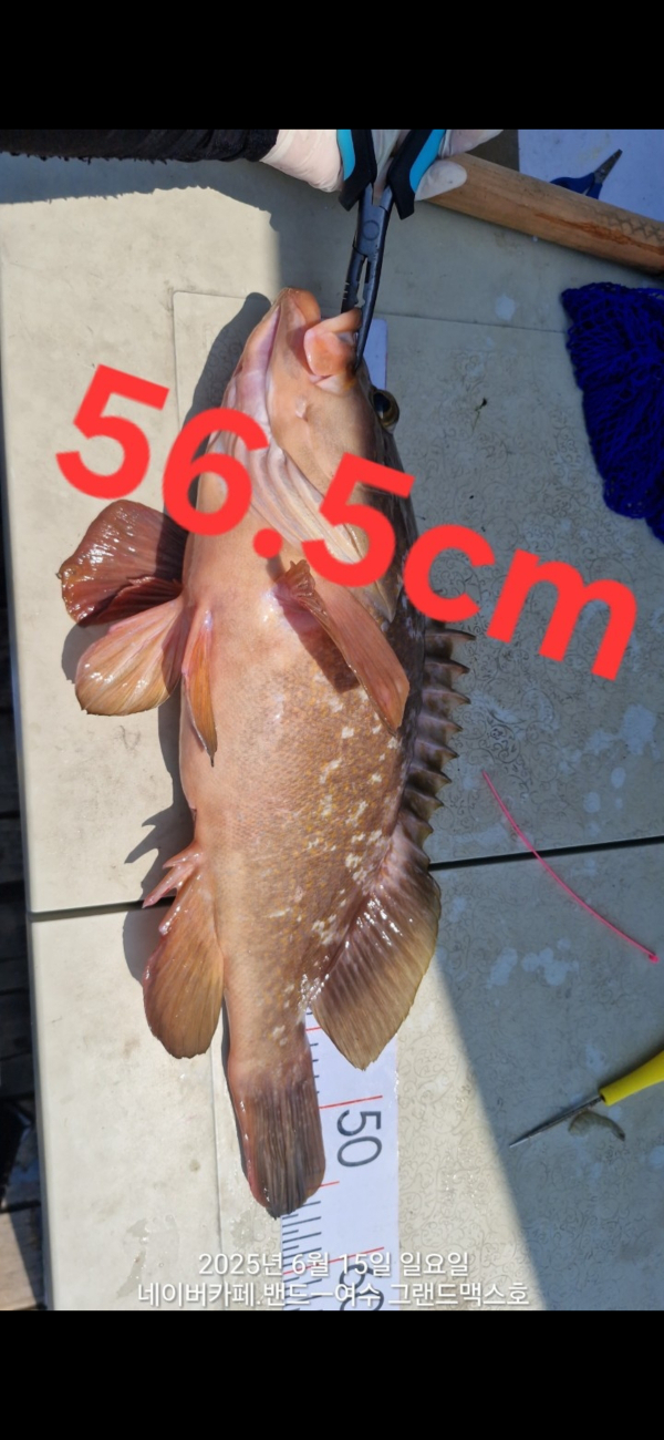 1000158256.jpg