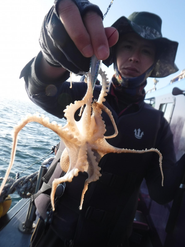 DSCF5649.JPG