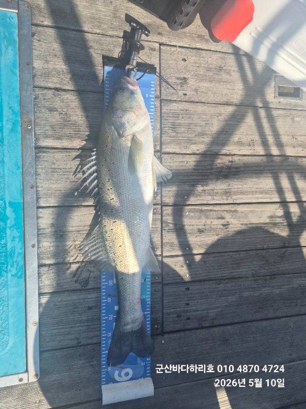 9742.jpg