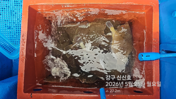 신신낚시 강구점 신신호_사진_20260525_16.jpg