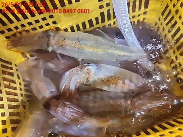 KakaoTalk_20260529_120112733_11.jpg