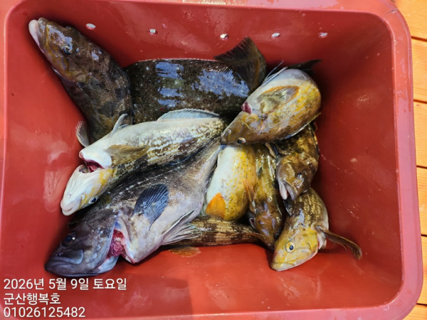 새만금낚시클럽_사진_20260509_2.jpg