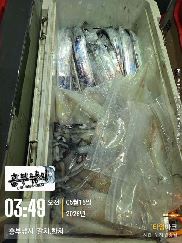 2026-05-16 03.49.21__(-흥부낚시  갈치.한치).jpg