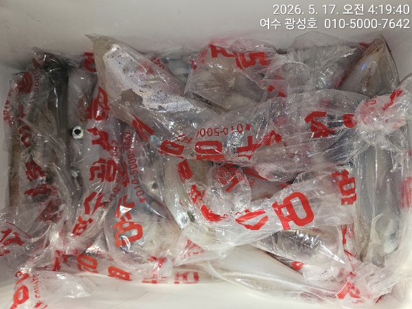 KakaoTalk_20260517_141640460_13.jpg