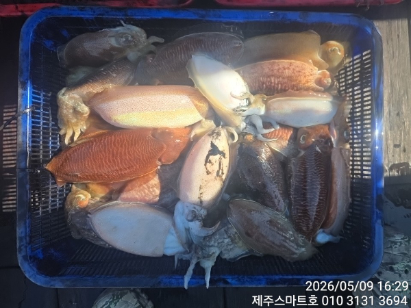 21750.jpg