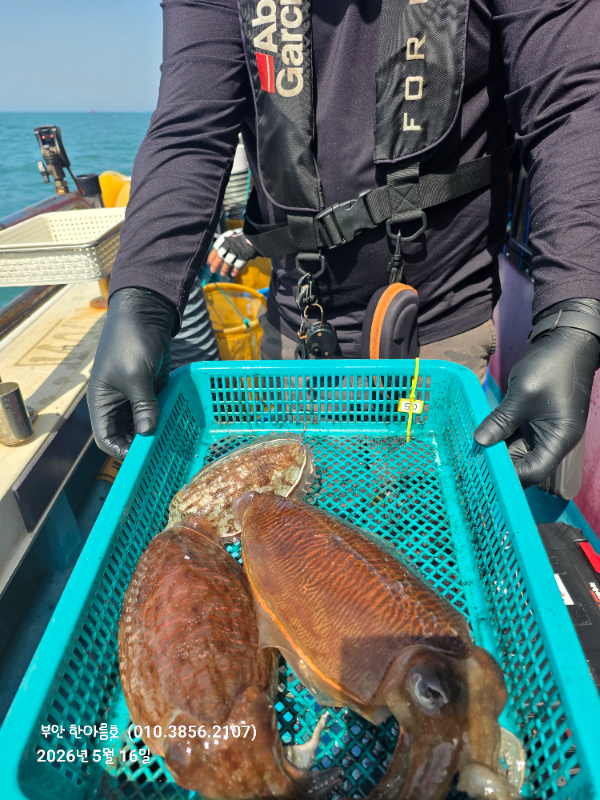 53746.jpg