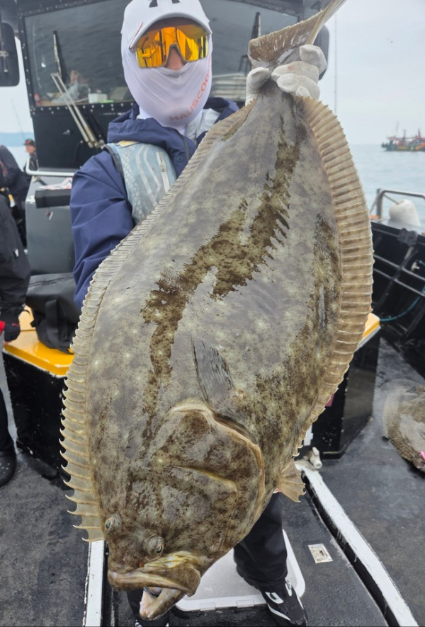 17139.jpg