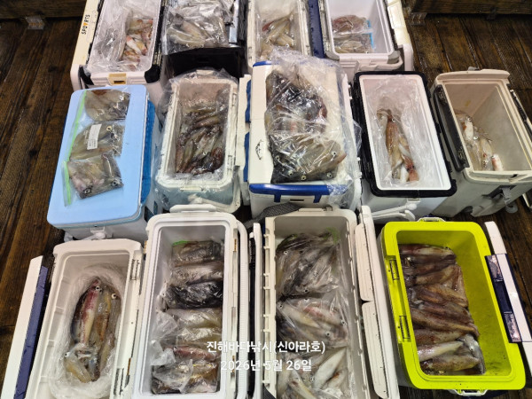 바다꾼낚시(신아라호)_사진_20260526_2.jpg