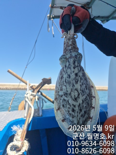 6705.jpg