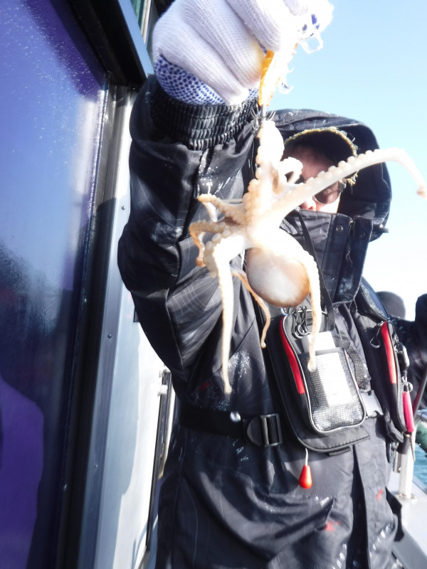 DSCF5666.JPG