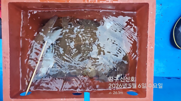 신신낚시 강구점 신신호_사진_20260506_17.jpg