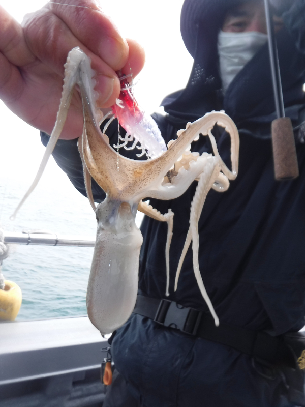 DSCF5755.JPG