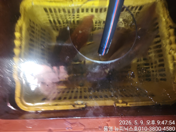 1000062694.jpg