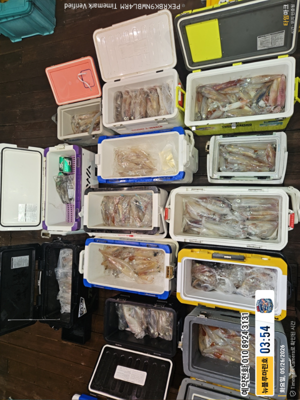 2026-05-26 03.54.07__(제목-뉴블루마린호)_(예약전화 010 8924 3131).jpg