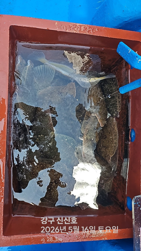 신신낚시 강구점 신신호_사진_20260516_16.jpg