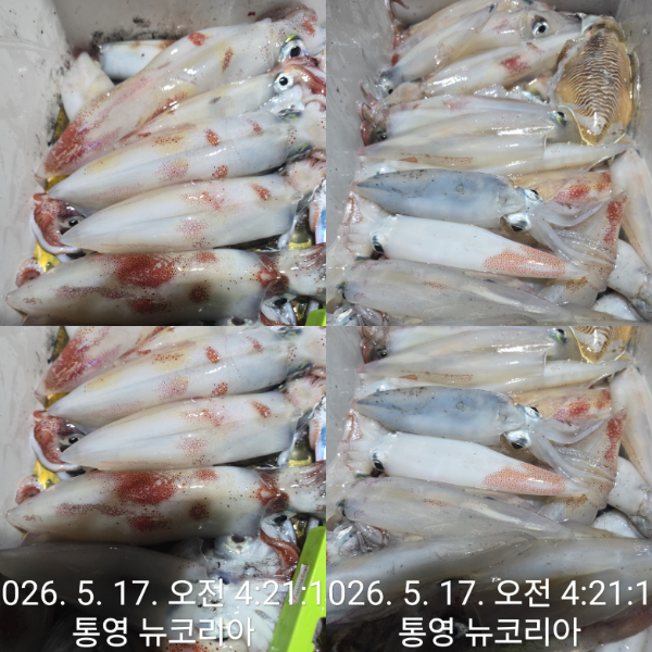 1000079380.jpg