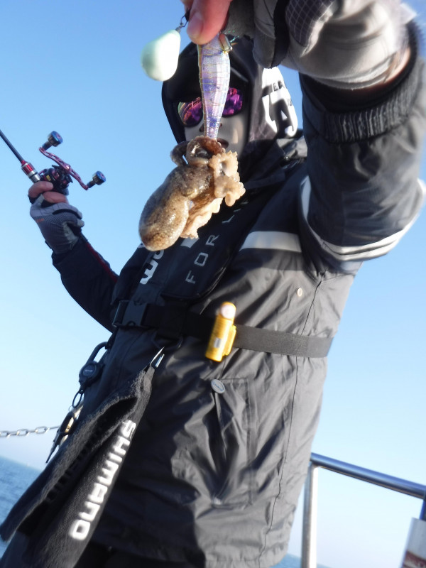 DSCF5646.JPG