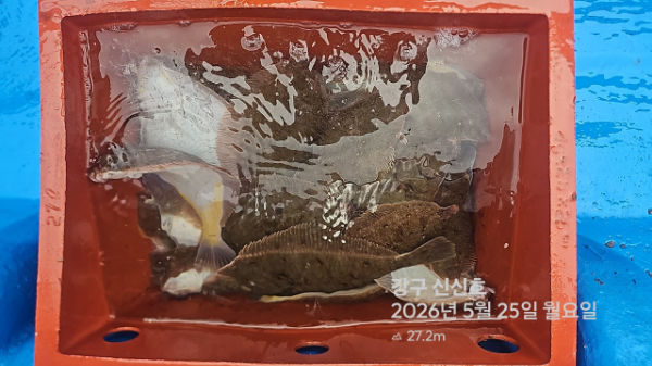 신신낚시 강구점 신신호_사진_20260525_8.jpg