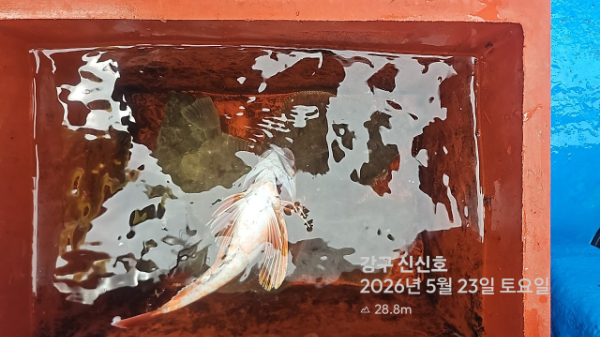 신신낚시 강구점 신신호_사진_20260523_7.jpg