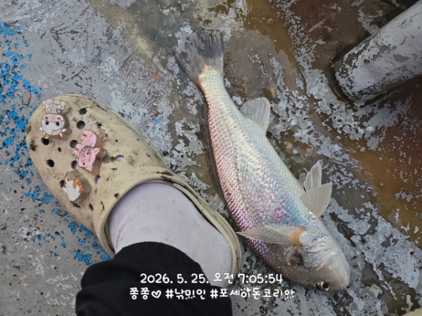 여수타이슨호01032905655_사진_20260527_1.jpg